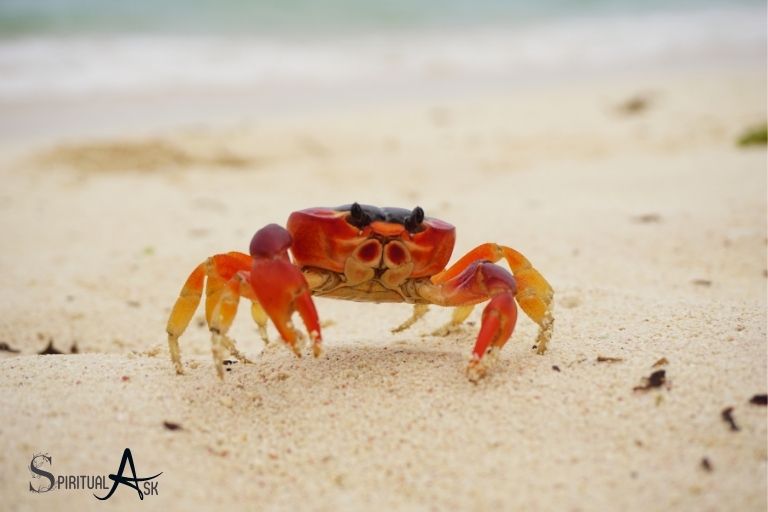 Understanding Crab Symbolism