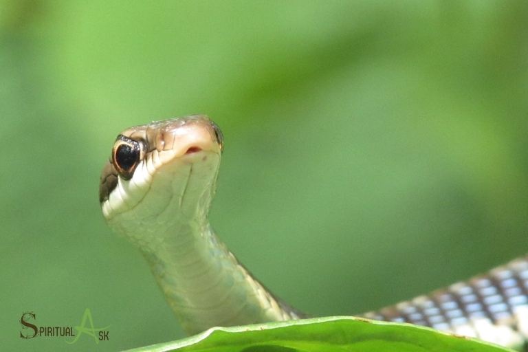 The Significance Of Dreaming About Baby Snakes