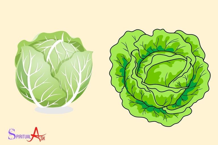 What Does Seeing Cabbage In A Dream Mean