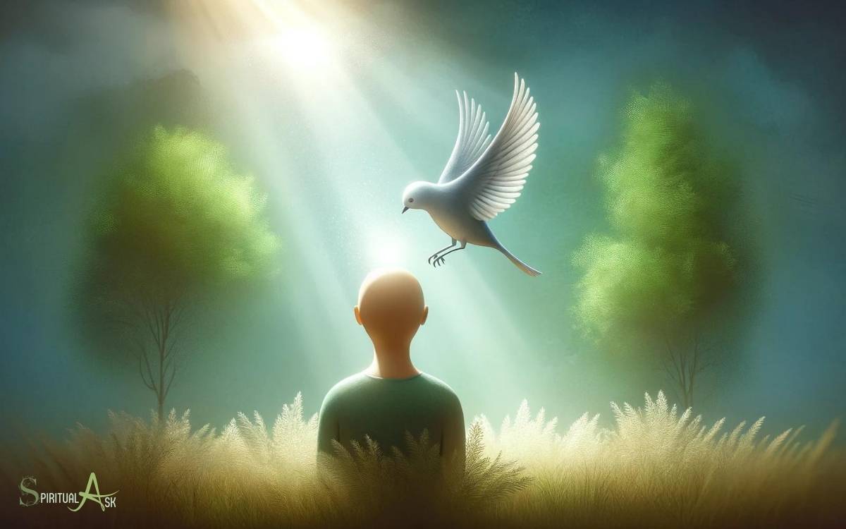 Spiritual Meaning of a Bird Landing on Your Head